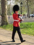 image of bearskin
