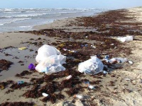 image of plastic_bag