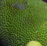 image of texture