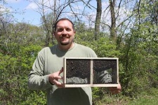 image of apiary