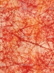 image of texture