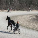 image of harness_racing #1