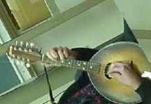 image of mandolin