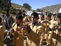 image of cornet