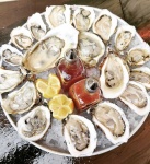 image of oyster #26