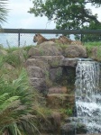 image of jaguar_car
