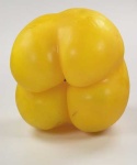 image of bell_pepper