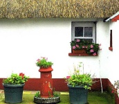 image of pot