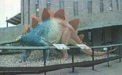 image of stegosaurus