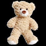 image of teddy_bear