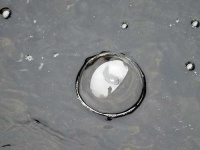 image of bubble