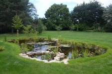 image of pond