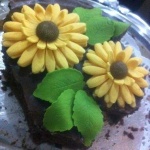 image of food