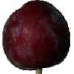 image of fruit