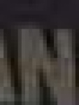 image of char