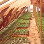 image of indoor