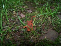 image of eft