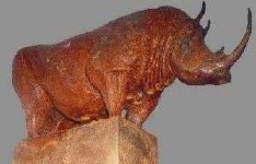 image of rhino
