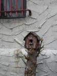 image of birdhouse