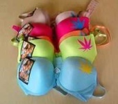 image of brassiere
