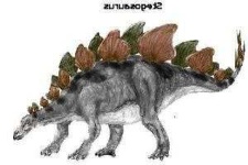 image of stegosaurus