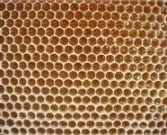 image of texture