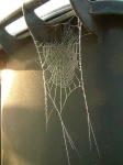 image of spider_web