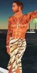 image of sarong