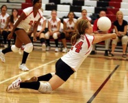 image of volleyball