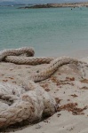 image of knot