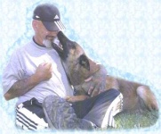 image of malinois