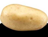 image of potato #22