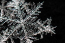 image of snowflake
