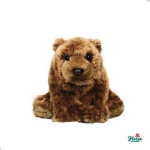 image of teddy_bear