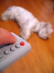image of remote_control
