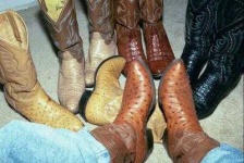 image of cowboy_boot #27