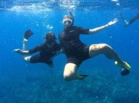 image of snorkel