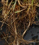 image of texture