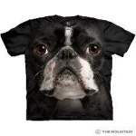 image of boston_terrier #15