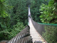 image of suspension_bridge