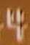 image of char