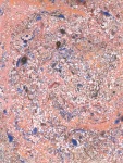 image of texture
