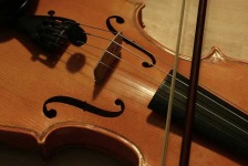 image of violin