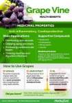 image of grapes #27