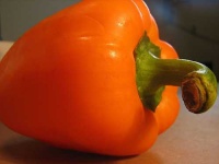 image of bell_pepper #4