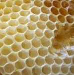 image of texture
