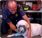 image of oxygen_mask