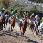 image of sport
