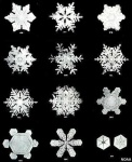 image of snowflake