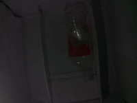image of bottle_50cl
